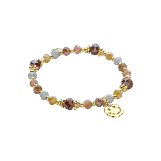 Biba armband Signature Crystals Bruin (55937MIX07) van Biba