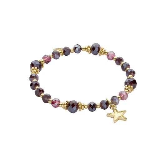 Biba armband Signature Crystals Paars (55937MIX14) van Biba