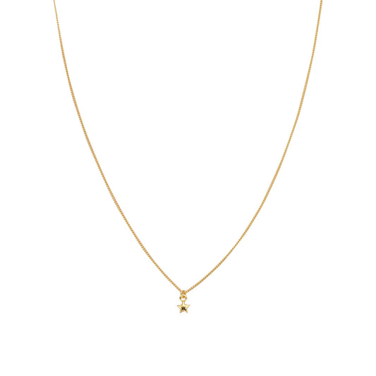 Biba halsketting goudkleurig – 61853 | Karla's Boom