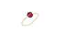 Biba Ring elastiek - Rood/zilver - biba
