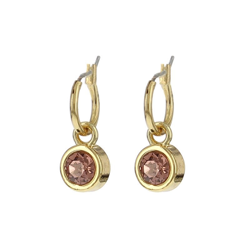 Biba creolen Roze 12 mm (80313BLUSH) van Biba