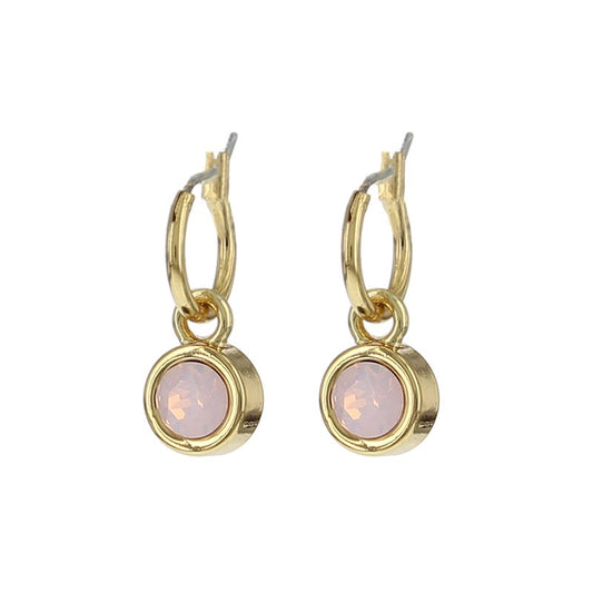 Biba creolen Roze 12 mm - Karla's