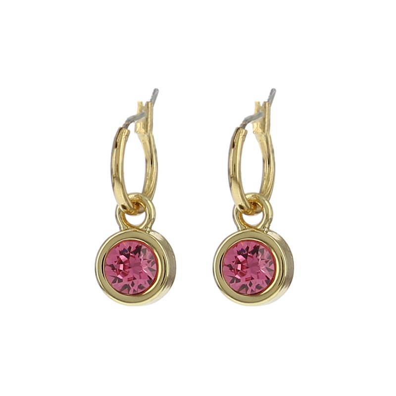 Biba creolen Roze 12 mm - Karla's